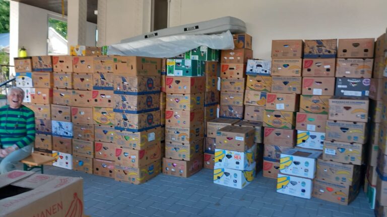 1000076334-768x432